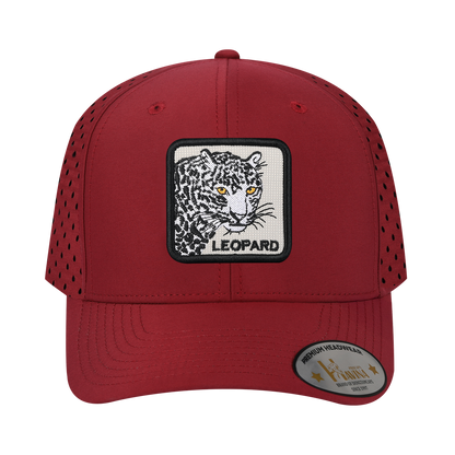 HAVINA WHOLESALE