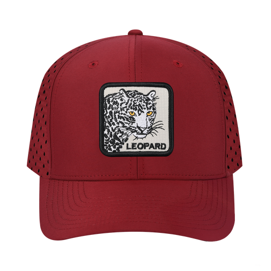 HAVINA WHOLESALE