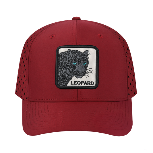 HAVINA WHOLESALE