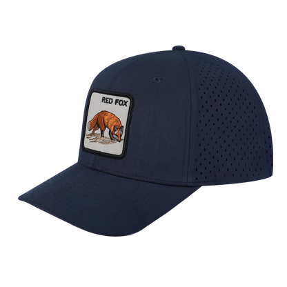 HAVINA WHOLESALE