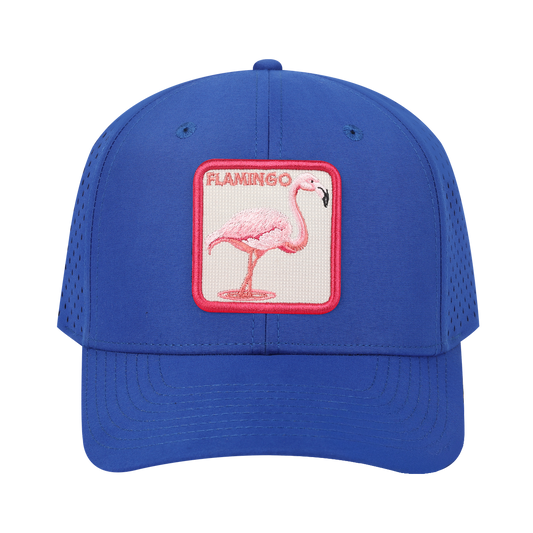 HAVINA WHOLESALE