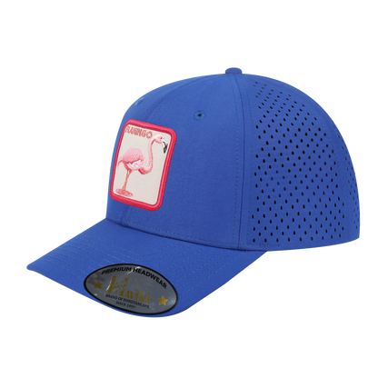 HAVINA PRO CAPS