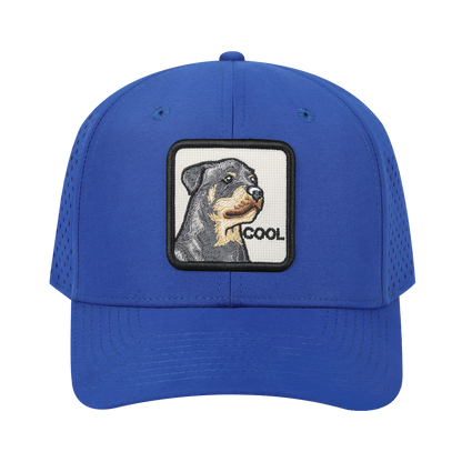 Cool 6-Panel Microfiber Laser Hole Trucker Hat with Royal Blue front and Royal Blue back