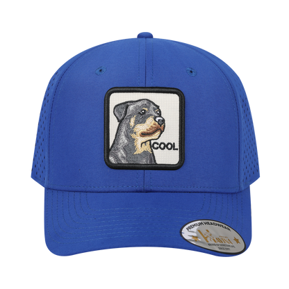 Cool 6-Panel Microfiber Laser Hole Trucker Hat with Royal Blue front and Royal Blue back
