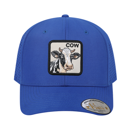 Cow 6-Panel Microfiber Laser Hole Trucker Hat with Royal Blue front and Royal Blue back