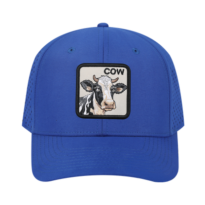 HAVINA WHOLESALE
