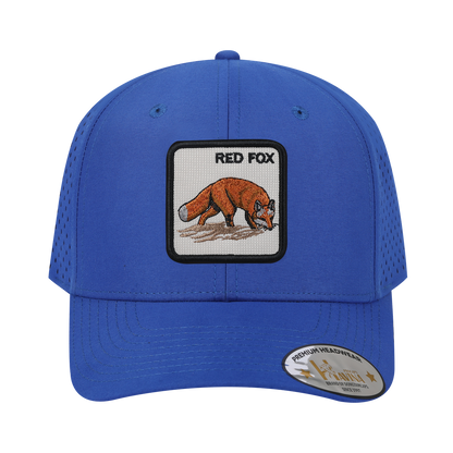 Red Fox 6-Panel Microfiber Laser Hole Trucker Hat with Royal Blue front and Royal Blue back