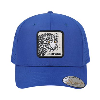 HAVINA WHOLESALE