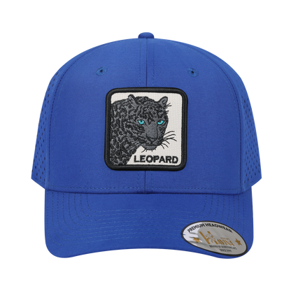HAVINA WHOLESALE
