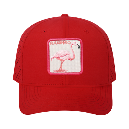 HAVINA WHOLESALE