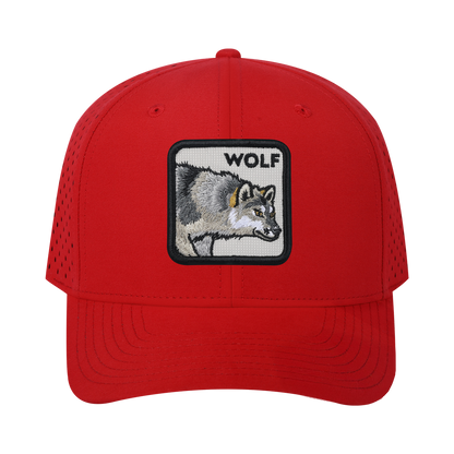 HAVINA WHOLESALE