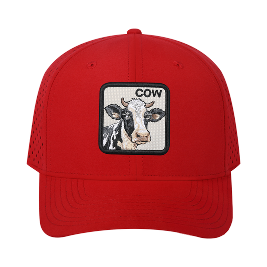HAVINA WHOLESALE