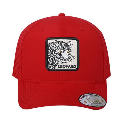 HAVINA WHOLESALE