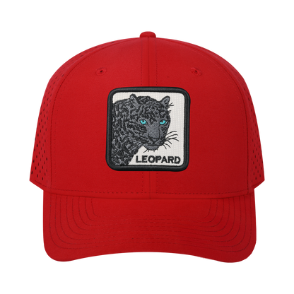HAVINA WHOLESALE