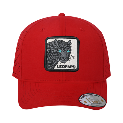 HAVINA WHOLESALE